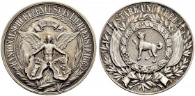 SCHWEIZ - Schützentaler, Schützenmedaillen & Schützenvaria
St. Gallen
Silbermedaille 1897. Lichtensteig. Kantonalschützenfest. 16.93 g. Richter (Sch...