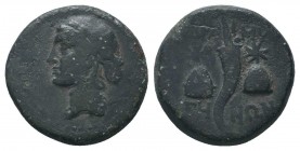 Adramyteion AE 11, 4th Century BC

Condition: Very Fine

Weight: 5.80 gr
Diameter: 19 mm
