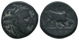 SELEUKID KINGS OF SYRIA. 3rd - 2nd Century. Ae. 

Condition: Very Fine

Weight: 6.00 gr
Diameter: 18 mm