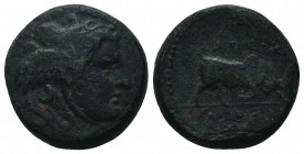 Seleukid Kingdom. (Circa 3rd-1st centuries BC). AE 

Condition: Very Fine

Weight: 7.30 gr
Diameter: 18 mm