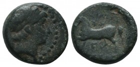 Seleukid Kingdom. (Circa 3rd-1st centuries BC). AE 

Condition: Very Fine

Weight: 3.80 gr
Diameter: 15 mm