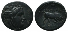 Seleukid Kingdom. (Circa 3rd-1st centuries BC). AE 

Condition: Very Fine

Weight: 2.90 gr
Diameter: 15 mm