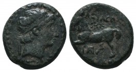 Seleukid Kingdom. (Circa 3rd-1st centuries BC). AE 

Condition: Very Fine

Weight: 4.30 gr
Diameter: 16 mm