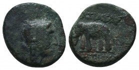 Seleukid Kingdom. (Circa 3rd-1st centuries BC). AE 

Condition: Very Fine

Weight: 2.70 gr
Diameter: 15 mm