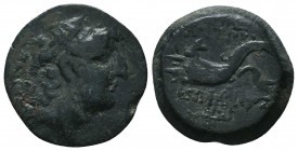 Seleukid Kingdom. (Circa 3rd-1st centuries BC). AE 

Condition: Very Fine

Weight: 6.50 gr
Diameter: 20 mm