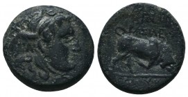 Seleukid Kingdom. (Circa 3rd-1st centuries BC). AE 

Condition: Very Fine

Weight: 6.50 gr
Diameter: 18 mm