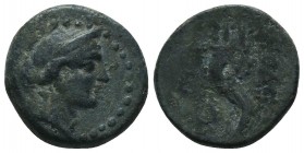 Seleukid Kingdom. (Circa 3rd-1st centuries BC). AE 

Condition: Very Fine

Weight: 6.30 gr
Diameter: 18 mm
