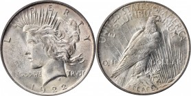 1922 Peace Silver Dollar. MS-63 (PCGS).



Estimate: 40

PCGS# 7357. NGC ID: 257C.