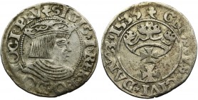 Sigismund I the Old, Groschen Danzig 1535 - PRV
Wariant napisowy PRV i DANC3.
Reference: Kopicki 7312
Grade: VF+
