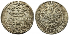 Sigismund I the Old, Groschen Krakau 1546 ST
Bardzo ładna moneta, dużo lustra po obu stronach. Naturalna, delikatna patyna. 

Odmiana z literami S-...