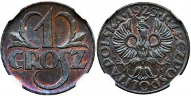 1 grosz 1923 - NGC MS67 BN
Dużej urody egzemplarz z mocnym baskiem. Kolor brązowy.
Znakomita prezencja.
Najwyższa nota w rejestrze NGC.


Refere...