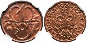 1 grosz 1928 - NGC MS66 RD
Mennicza sztuka z intensywnym połyskiem. Poszukiwany i ceniony kolor czerwony.
Najwyższa nota w rejestrze NGC.&nbsp;
Mon...