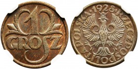 1 grosz 1928 - NGC MS66 BN
Perfekcyjny egzemplarz o znakomitej prezencji. Kolorystyka sklasyfikowana jako brązowa.&nbsp;&nbsp;
Moneta do najlepszych...