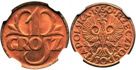 1 grosz 1930 - NGC MS67 RD - RZADKOŚĆ
Najbardziej pożądany kolor czerwony najrzadszego rocznika.
 Wyśmienity, wyselekcjonowany egzemplarz z intensyw...