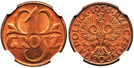 1 grosz 1931 - NGC MS67 RD
Znakomity, menniczy egzemplarz. Najbardziej poszukiwany kolor czerwony.

Najwyższa nota w rejestrze NGC.&nbsp;
W tym st...