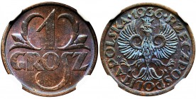 1 grosz 1936 - NGC MS65 BN
Menniczy egzemplarz z intensywnym połyskiem. Kolor brązowy.
Egzemplarz wybity świeżym stemplem.
 Druga najwyższa nota pr...