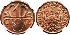 1 grosz 1939 - NGC MS67 RD
Menniczy stan zachowania. Kolor czerwony.
Najwyższa ocena w rejestrze NGC.
Reference: Parchimowcz 101n
Grade: NGC MS67 ...