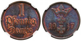 Free City of Danzig, 1 pfennig 1937 - NGC MS65 BN
Menniczy stan zachowania.
Druga najwyższa nota w rejestrze NGC dla tej odmiany kolorystycznej. 
Z...