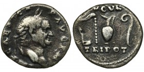 Roman Imperial, Vespasian, DenariusReference: RIC 30
Grade: VF