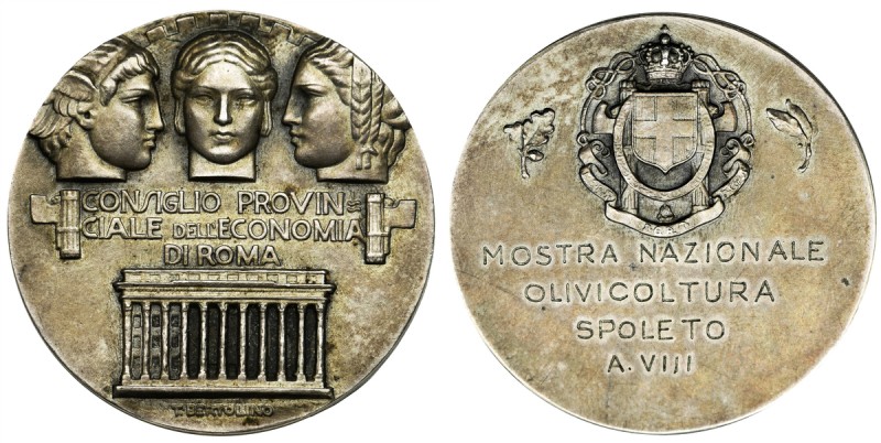 Italy, Medal Consiglio Provincionale dell'Economia di Roma
Medal wydany dla Reg...