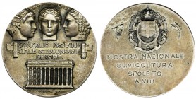 Italy, Medal Consiglio Provincionale dell'Economia di Roma
Medal wydany dla Regionalnej Rady Gospodarki Rzymu.

Rzadki.Reference: Casolari nie notu...