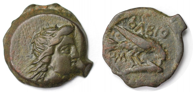 Griechische Münzen, BOSPORUS. Olbia. Bronze (3.68 g. 19 mm) 260 -250 v. Chr, Seh...