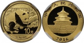 Weltmünzen und Medaillen, China. Panda. 10 Yuan 2016, Gold. NGC MS 70