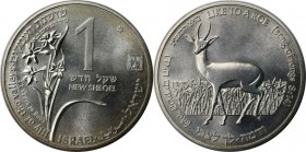 Weltmünzen und Medaillen, Israel. "Roe and lily". 1 New Sheqel 1992, Silber. 0.43 OZ. KM 231. Stempelglanz