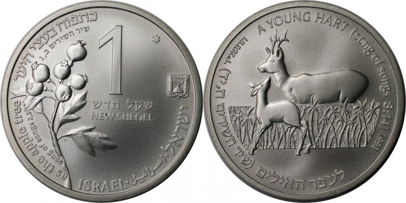 Weltmünzen und Medaillen, Israel. Wildleben - junger Bock. 1 New Sheqel 1993, Si...