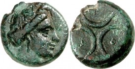ITALIEN. 
BRUTTION. 
KROTON (Crotone). AE-Tetras 17mm (400/300 v.Chr.) 3,41g. Kopf der Persephone mit Ährenkranz n.r. / K-P-O 3 Mondsicheln. SNG ANS...