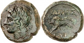 SIZILIEN. 
AKRAGAS (Agrigento). 
Phintias 287-279 v. Chr. AE-21mm (282.279 v.Chr.) 5,61g. Persephonekopf mit Ährenkranz n.l., dahinter Monogramm NE ...