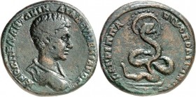 MOESIEN. 
NIKOPOLIS "am Istros" (Stari Nikjup an der Rusica). 
Diadumenianus Caesar 217-218. AE-Tetrassarion 26/27mm (218) 11,11g, Provinzlegat Marc...