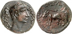 PHOINIKIEN. 
BERYTUS, Colonia (Beirut). 
Augustus 27-14. AE-23mm 12/14 unter Quintus Caesilius Metellus Creticus Silanus, Legatus Augusti Pro Praeto...