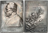 PERSONEN. 
MEDIZINER. 
PASTEUR, Louis *1822 +1895 Villeneuve L'Etang. Plakette 1892 (v. L. O. Roty) a.s. 70. Geburtstag. Brb. n. l. / 5 Z. Widmungst...