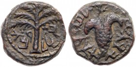 Judaea, Bar Kokhba Revolt. ﾒ Small Bronze (4.80 g), 132-135 CE. VF