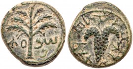 Judaea, Bar Kokhba Revolt. ﾒ Small Bronze (6.78 g), 132-135 CE. EF