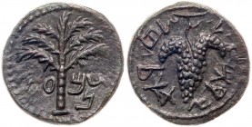 Judaea, Bar Kokhba Revolt. ﾒ Small Bronze (4.50 g), 132-135 CE. EF