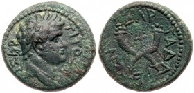 City Coins of Israel: Decapolis. Gadara. Titus. ﾒ (5.50 g), as Caesar, 69-79 CE. VF