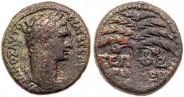 Galilaea, Sepphoris. Trajan. ﾒ (10.23 g), AD 98-117. VF