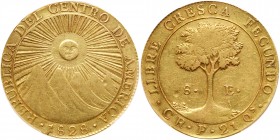 Central American Republic (Costa Rica). 8 Escudos, 1828-CR F (San Jose). PCGS EF