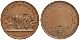 Torino - Medaglia societ&agrave; zootecnica - 22,30 grammi. Opus Carvera. Colpetti.
SPL