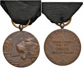 Regno d'Italia - Medaglia divisione speciale Laghi 1936 - 12,55 grammi. Con nastrino originale.
SPL+