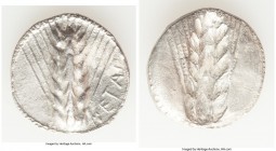 LUCANIA. Metapontum. Ca. 540-510 BC. AR stater (22mm, 7.66 gm, 12h). XF. METAΠ (on right), barley ear with seven grains; guilloche border on raised ou...