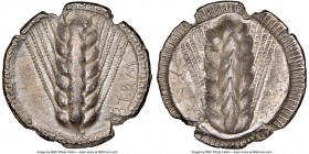 LUCANIA. Metapontum. Ca. 510-470 BC. AR stater (25mm, 6.87 gm, 12h). NGC VF 4/5 - 3/5. METAΠ (on right, retrograde), barley ear with seven grains; gui...