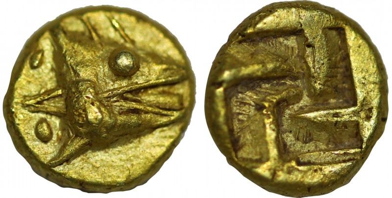MYSIA. Kyzikos. EL 1/24 Stater (Circa 600-550 BC).
Obv: Head of tunny right; two...