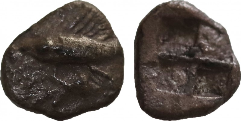 MYSIA. Kyzikos. Hemibol (Circa 500 BC).
Obv: Tunny left.
Rev: Quadripartite incu...