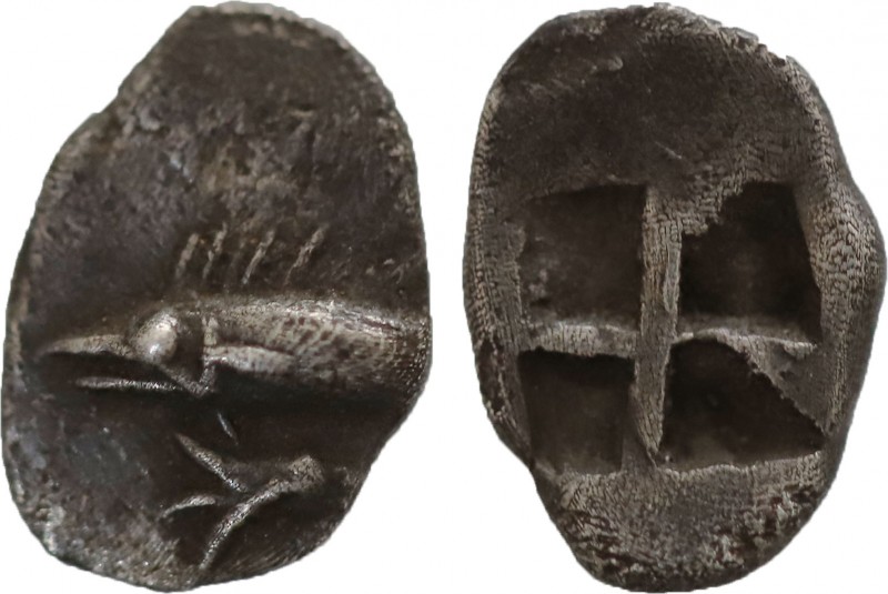 MYSIA. Kyzikos. Hemiobol (Circa 500 BC).
Obv: Tunny left; below, lotus right.
Re...