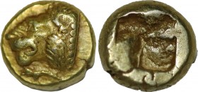 IONIA. Phokaia. EL Hekte (Circa 625/0-522 BC).
Obv: Head of roaring lion left; to right, small seal upward.
Rev: Incuse square punch.
Bodenstedt 13.
C...