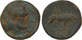KINGS OF GALATIA. Amyntas (36-25 BC). Ae. Dated RY 5 (31/0).
Obv: Head of Herakles right, with club over shoulder; ЄC (date) to left.
Rev: Lion standi...