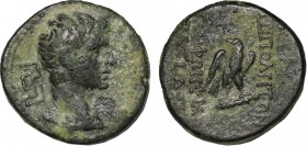 LYDIA . Tripolis. Augustus (27-14 BC). Ae. Obv:ΣΕΒΑΣΤΟΣ, beardless head right, maeander band to left. Rev: ΤΡΙ - ΠΟΛΕΙΤΩΝ - ΑΠΟΛΛΩΝΙΟΥ / ΑΝΔΡΟΝΕΙΚΟΥ, ...